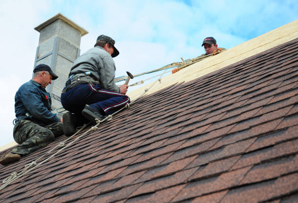 Quick and Trustworthy Emergency Roof Repair Services in Chase, PA